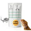 Basking Light 2-Pack 100W Intense ReptiKing Heat Lamp for Reptiles-2