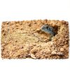 Exo Terra Desert Sand 10‑Pound Red Natural Terrarium Substrate-3