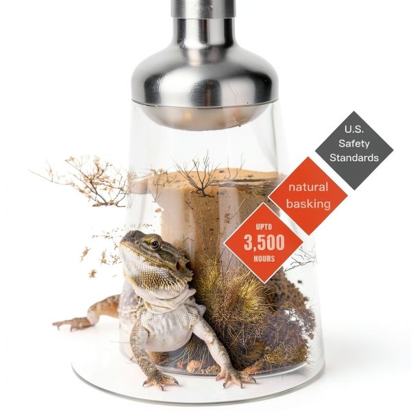 Basking Light 2-Pack 100W Intense ReptiKing Heat Lamp for Reptiles-1