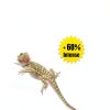 Basking Light 2-Pack 100W Intense ReptiKing Heat Lamp for Reptiles-3