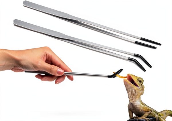 Lasnten Long Stainless Steel Reptile Feeding Tongs Silver 10 Inch-0